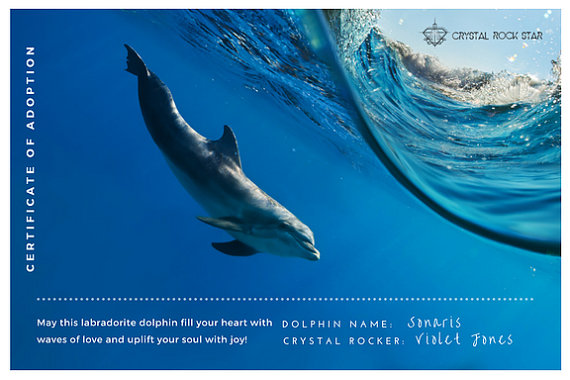 dolphin-adoption-certificate-crystal-rock-star