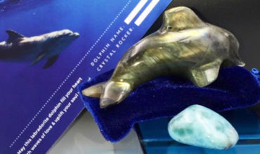 golden dolphin of Atlantis Labradorite palm stone Crystal Rock Star kit