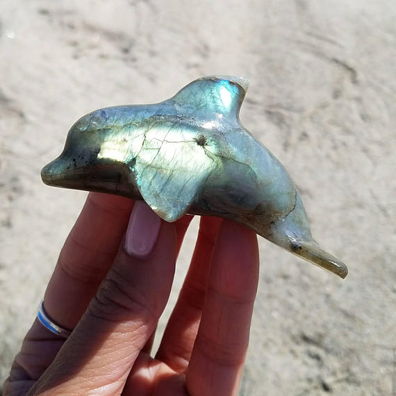 Baby Crystal Labradorite Dolphin for Adoption - Sonar Blessed - Crystal Rock Star