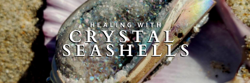 Healing with Ancient Fossil Crystal Seashells - Crystal Rock Star